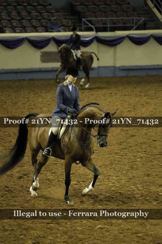 Proof Number 21YN_71432