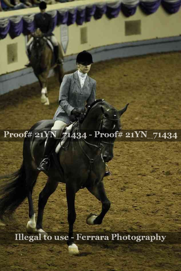 Proof Number 21YN_71434