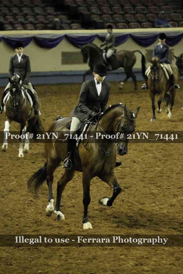 Proof Number 21YN_71441