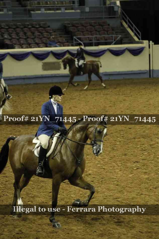 Proof Number 21YN_71445