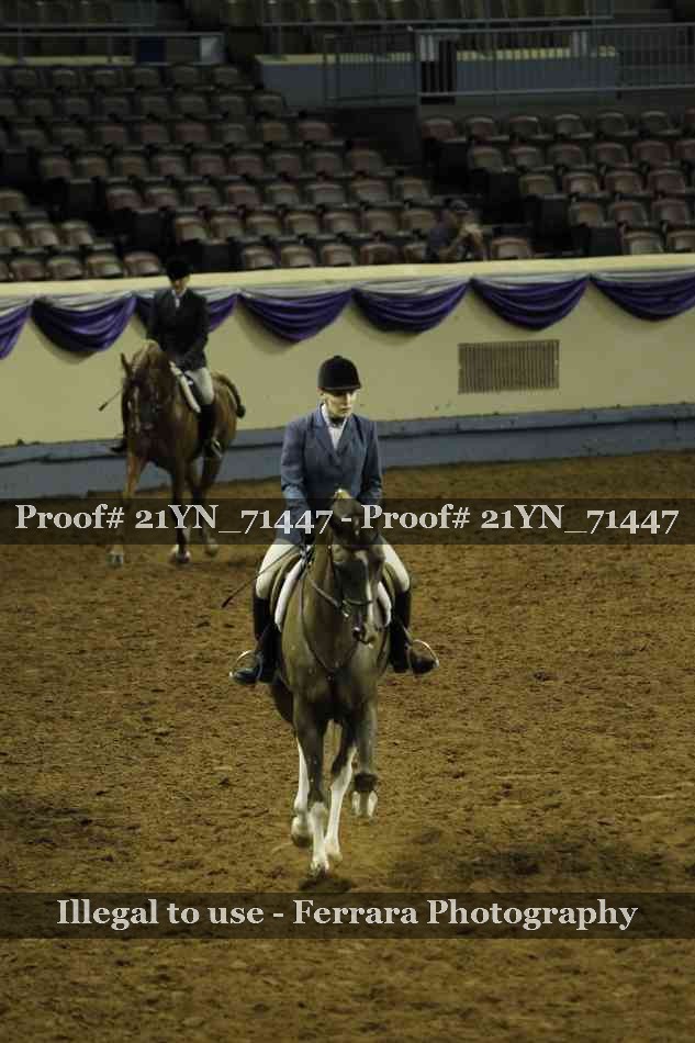Proof Number 21YN_71447