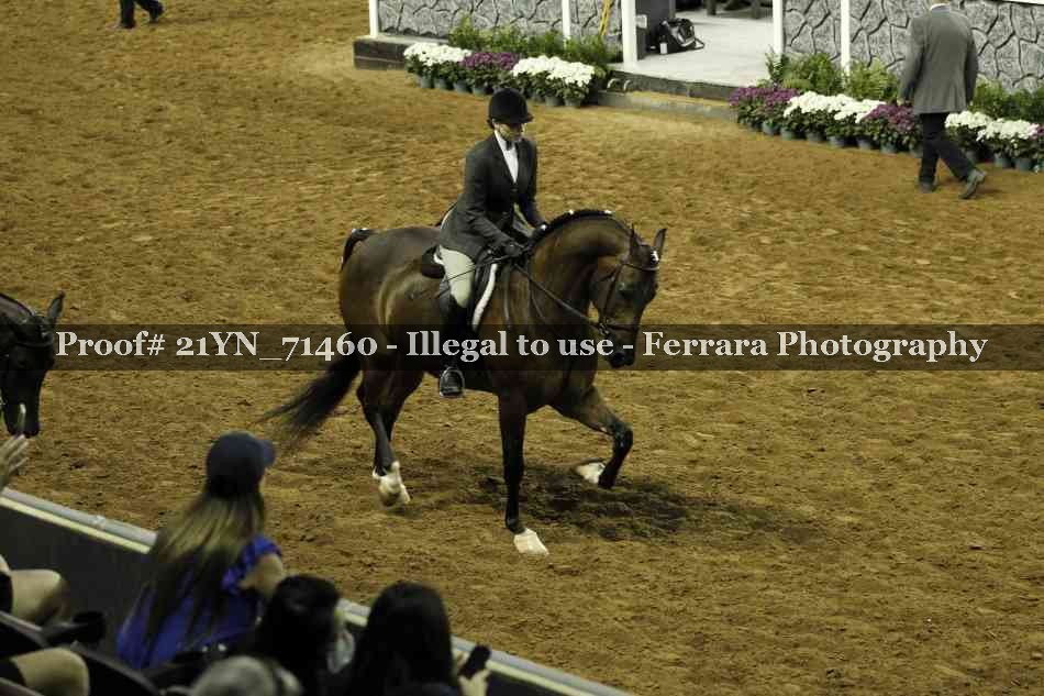 Proof Number 21YN_71460