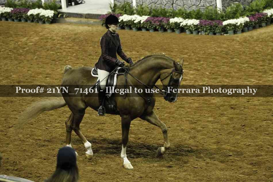 Proof Number 21YN_71461