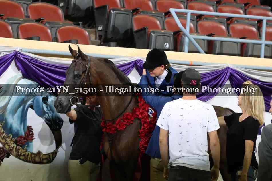 Proof Number 21YN_71501