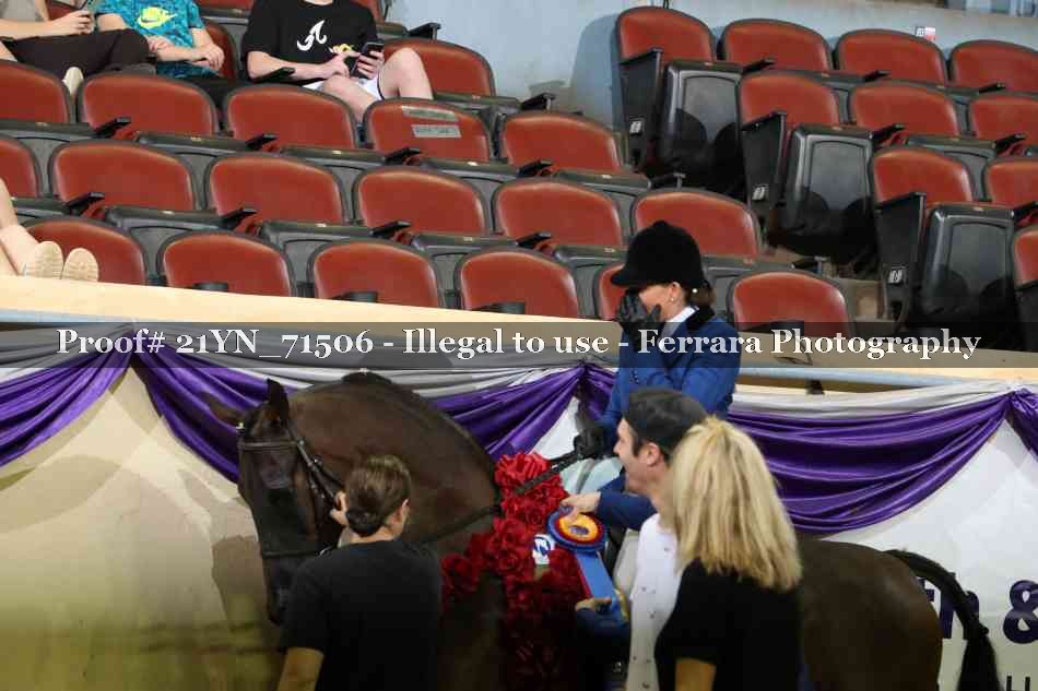 Proof Number 21YN_71506