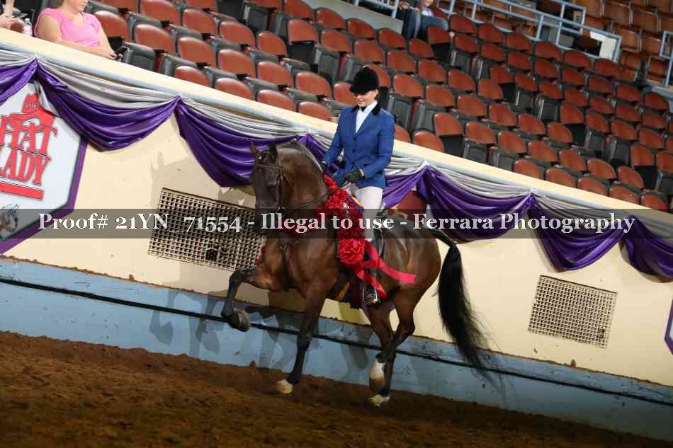 Proof Number 21YN_71554