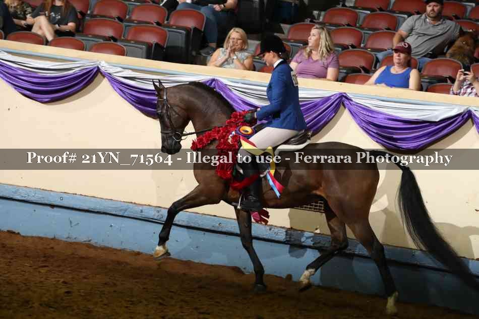 Proof Number 21YN_71564