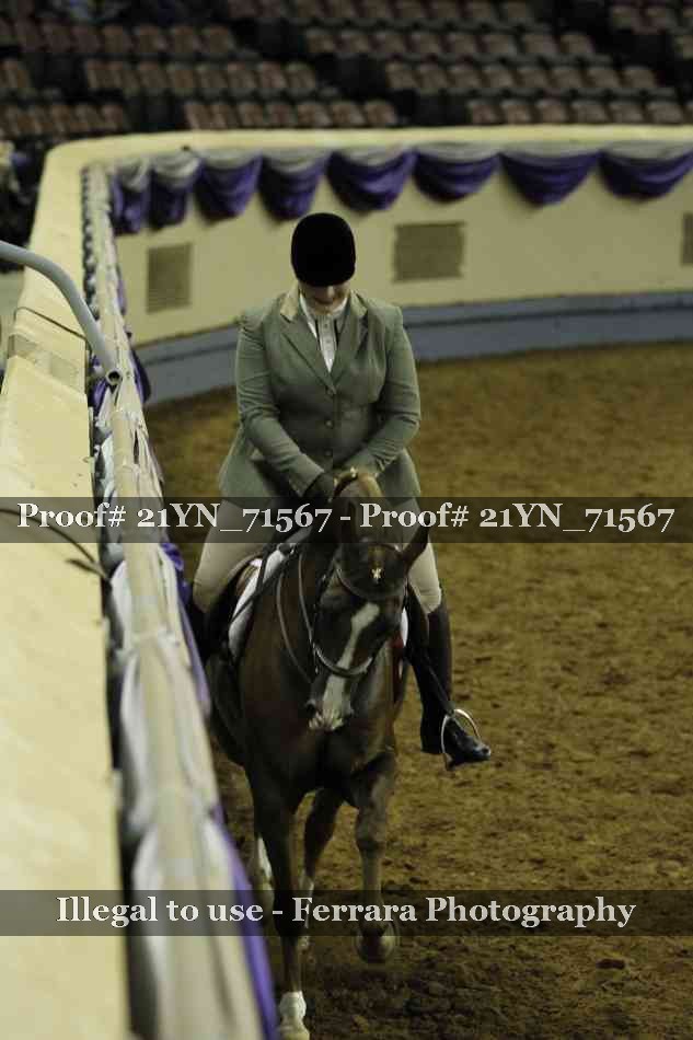 Proof Number 21YN_71567