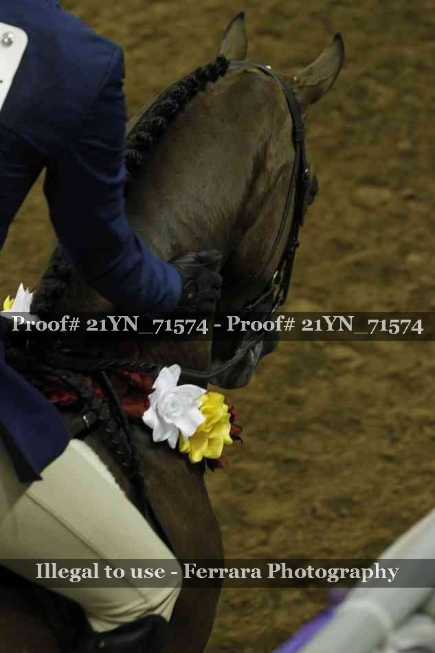 Proof Number 21YN_71574