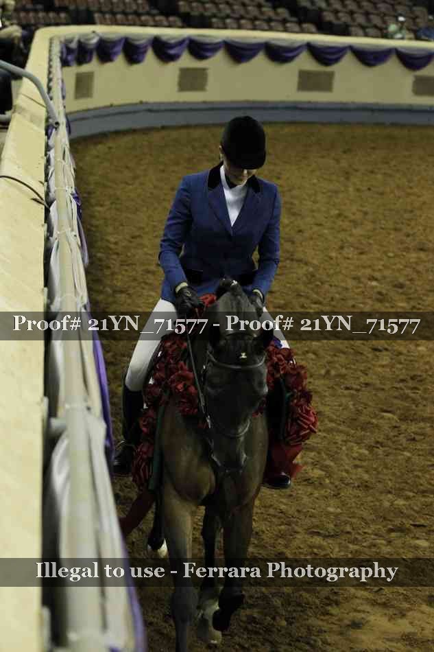 Proof Number 21YN_71577