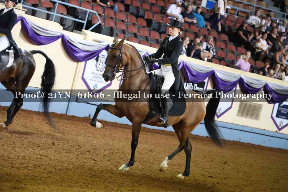 Proof Number 21YN_61806