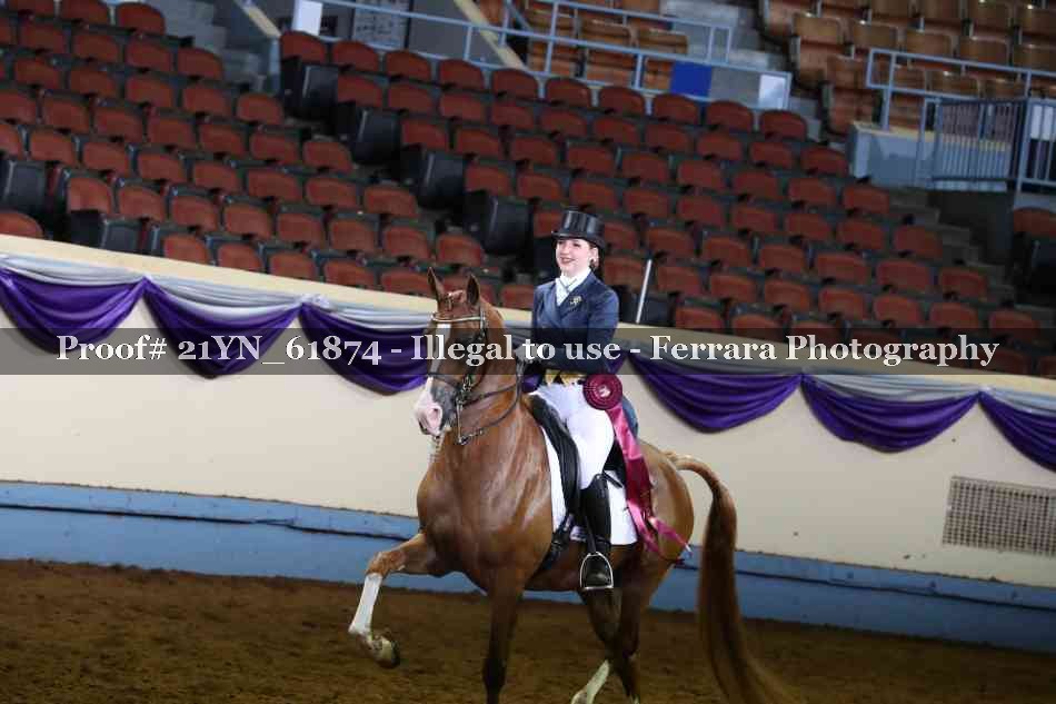 Proof Number 21YN_61874