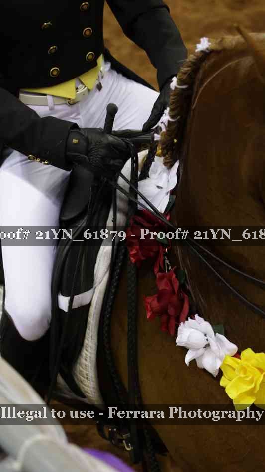 Proof Number 21YN_61879