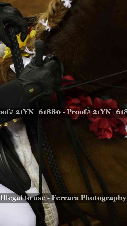 Proof Number 21YN_61880