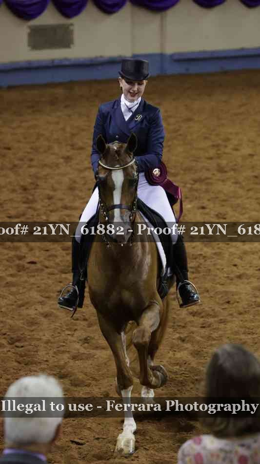 Proof Number 21YN_61882