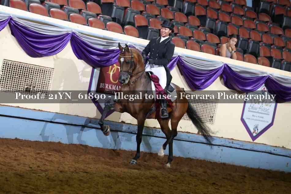 Proof Number 21YN_61890