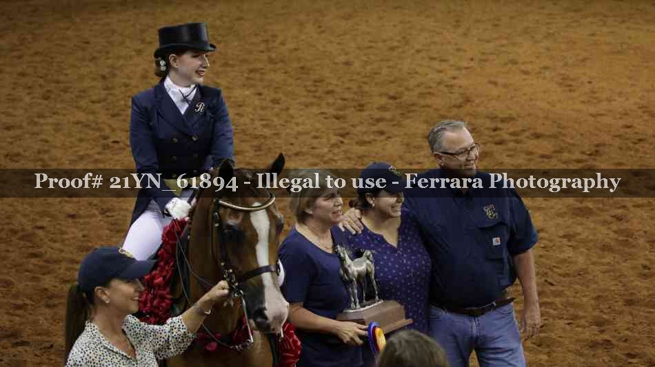 Proof Number 21YN_61894