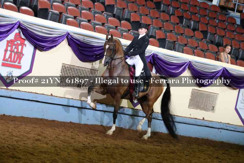 Proof Number 21YN_61897