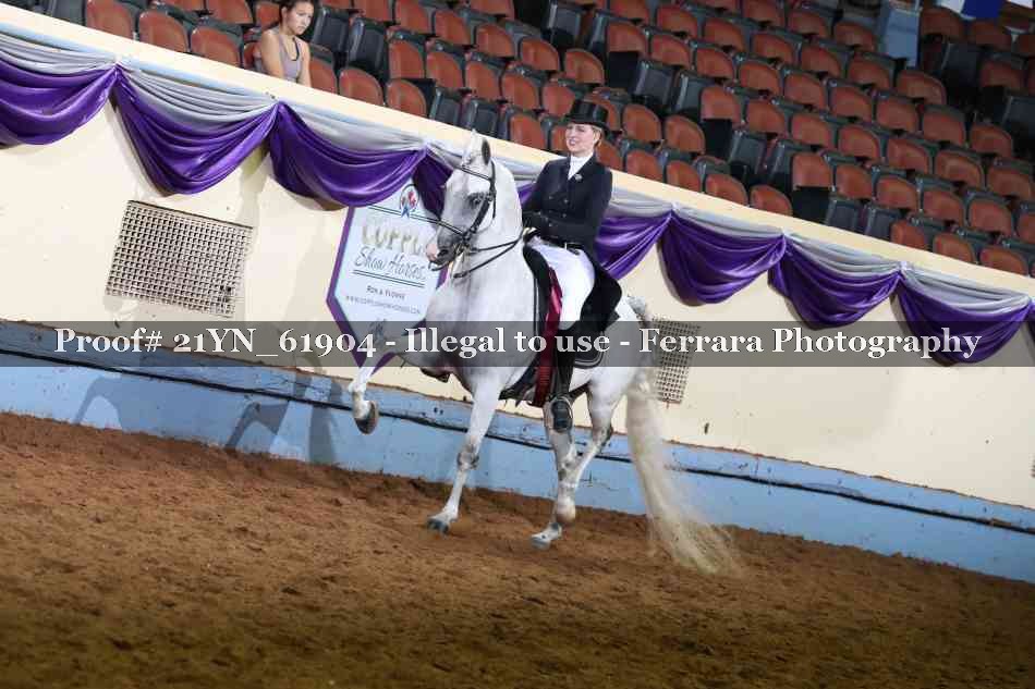 Proof Number 21YN_61904
