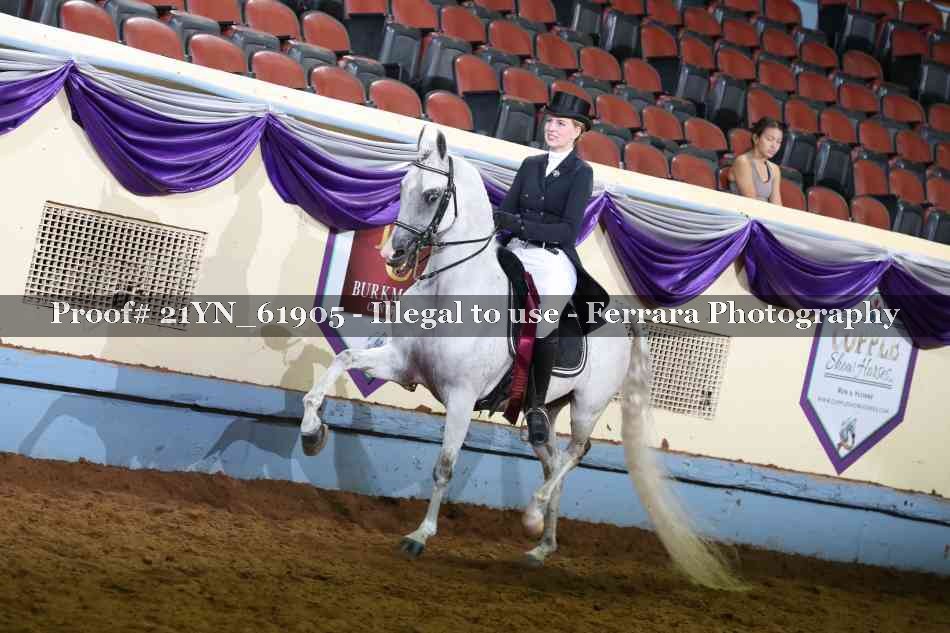 Proof Number 21YN_61905