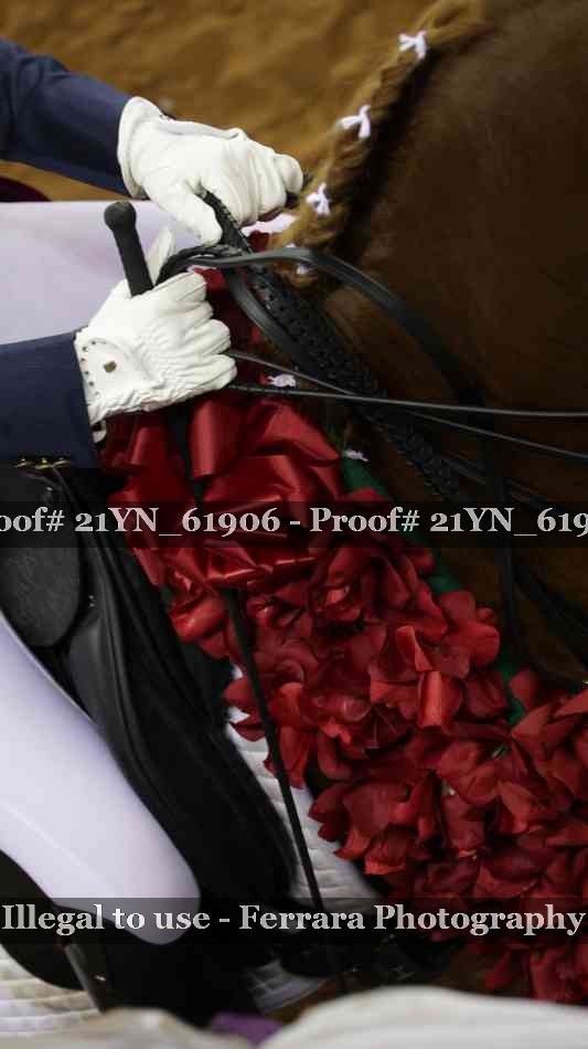 Proof Number 21YN_61906