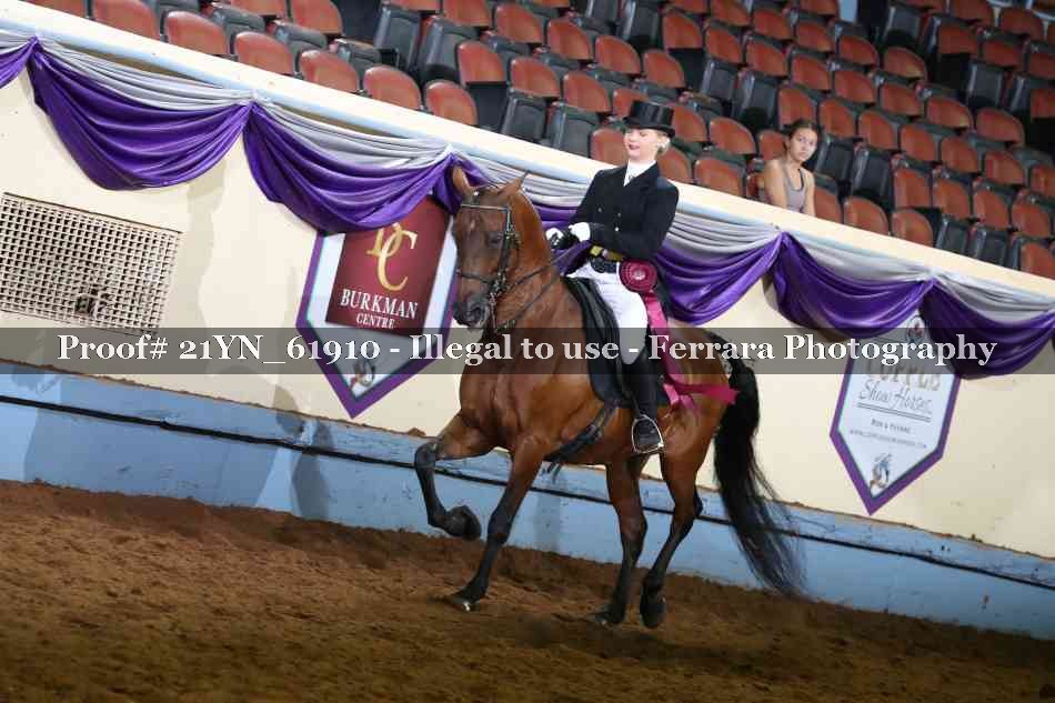 Proof Number 21YN_61910