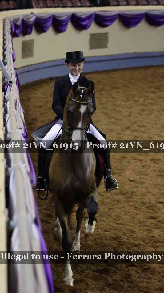 Proof Number 21YN_61915