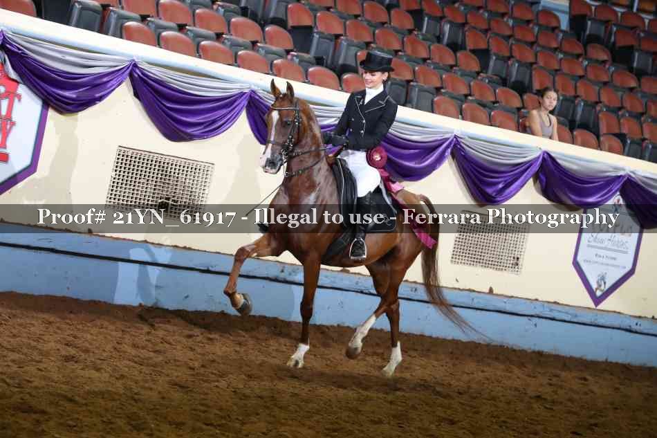 Proof Number 21YN_61917