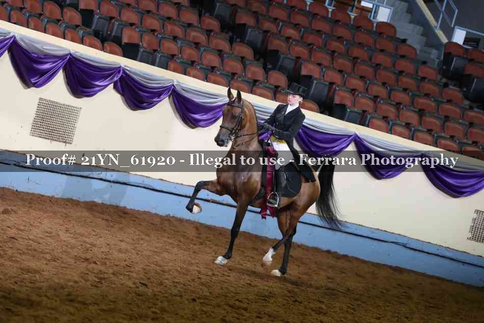 Proof Number 21YN_61920