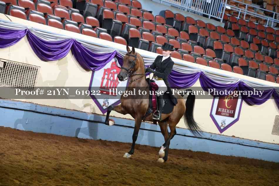 Proof Number 21YN_61922