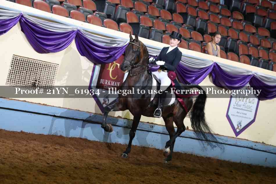 Proof Number 21YN_61934