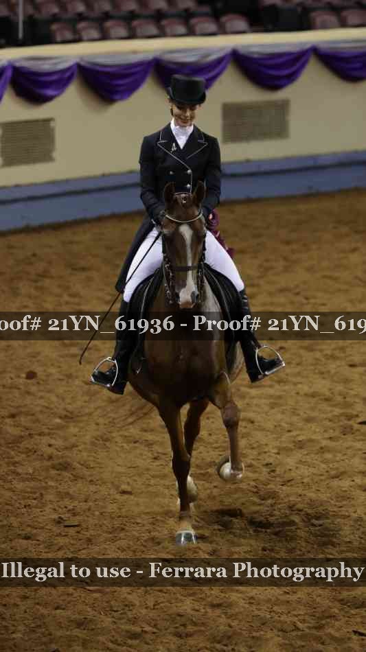 Proof Number 21YN_61936