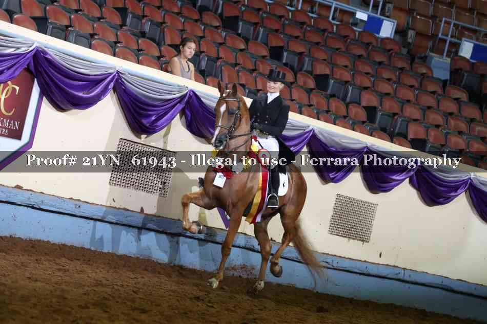 Proof Number 21YN_61943