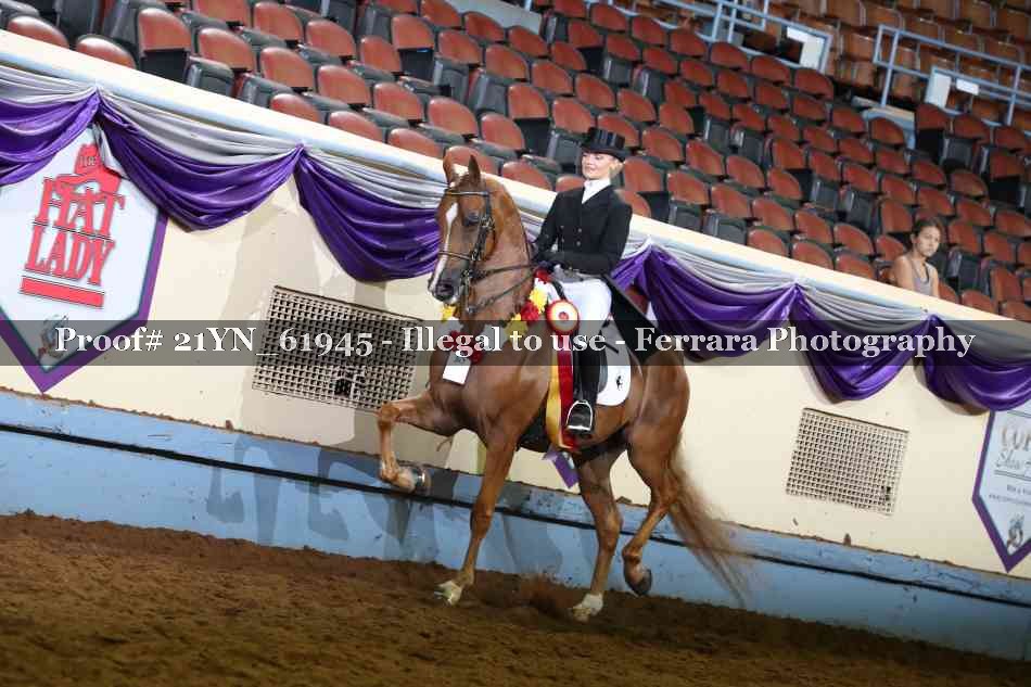 Proof Number 21YN_61945