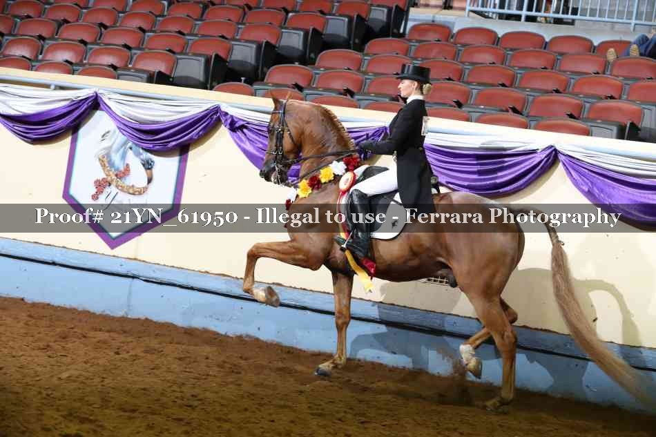 Proof Number 21YN_61950