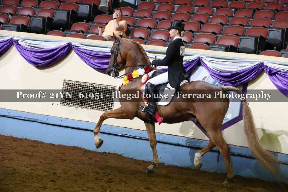 Proof Number 21YN_61951