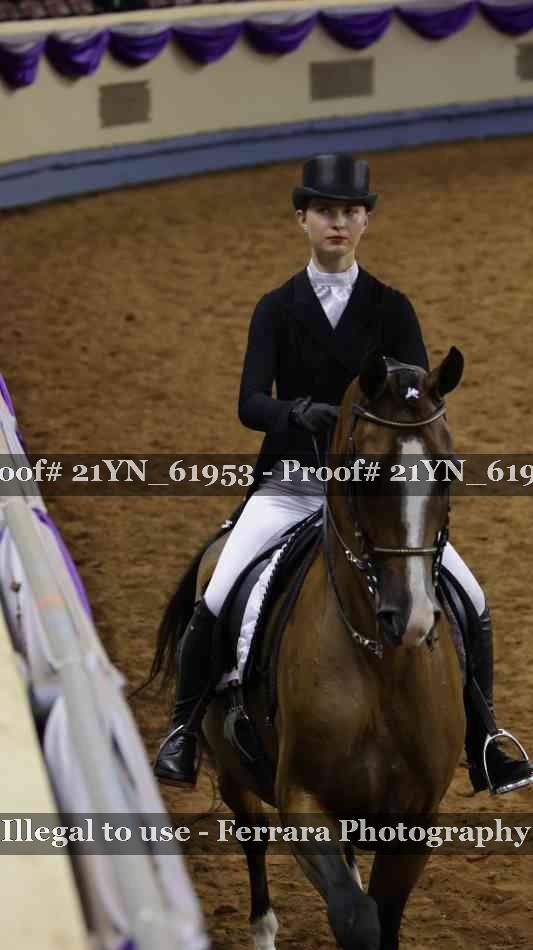 Proof Number 21YN_61953