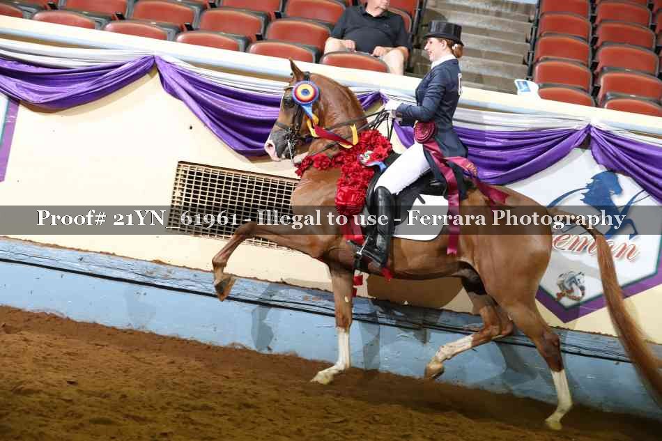 Proof Number 21YN_61961