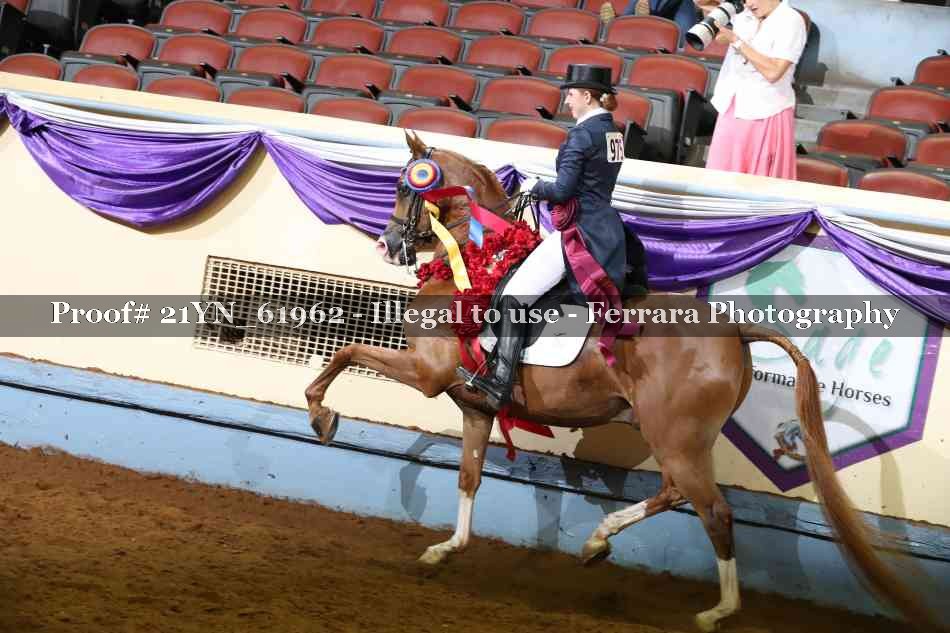 Proof Number 21YN_61962