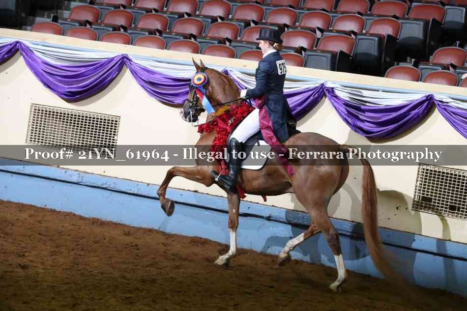 Proof Number 21YN_61964
