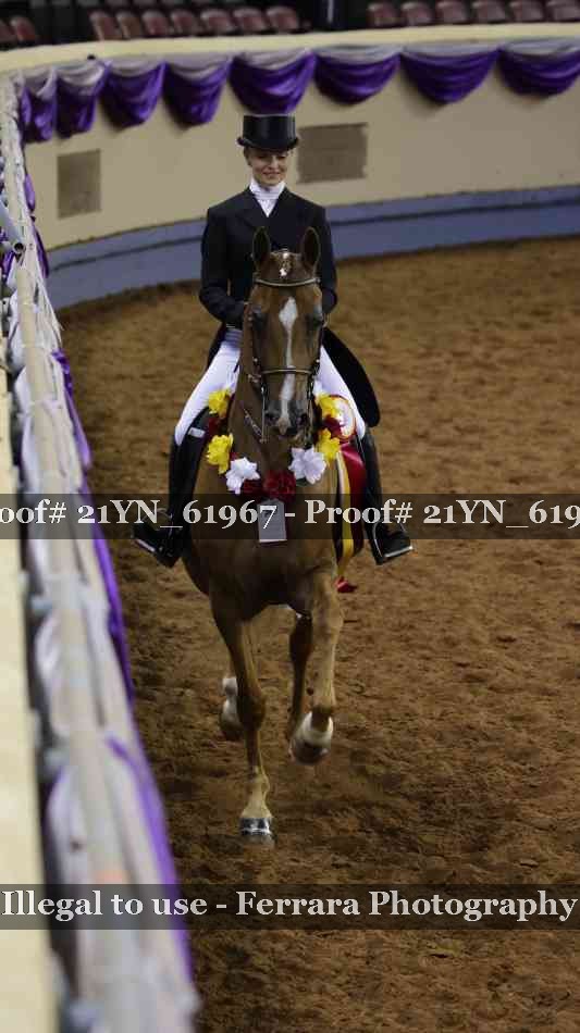 Proof Number 21YN_61967