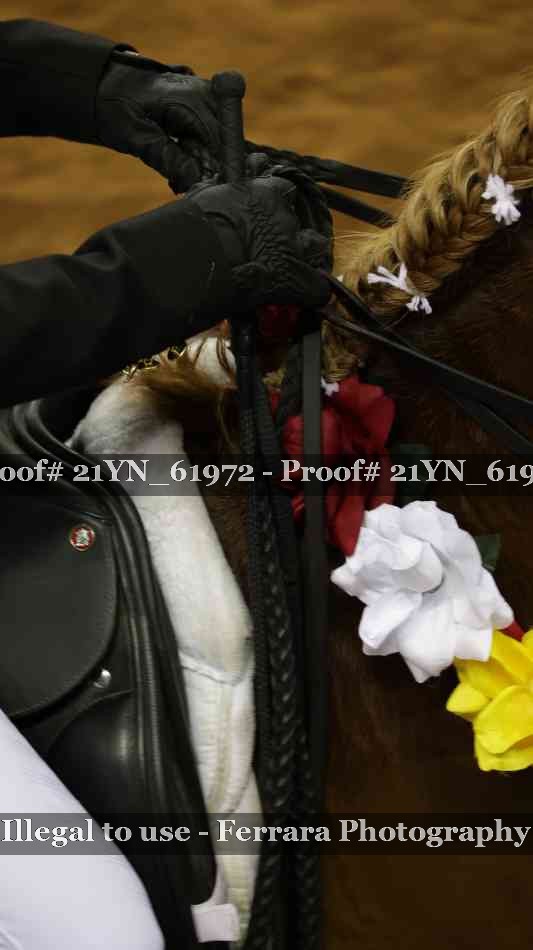 Proof Number 21YN_61972