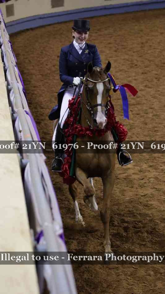 Proof Number 21YN_61976