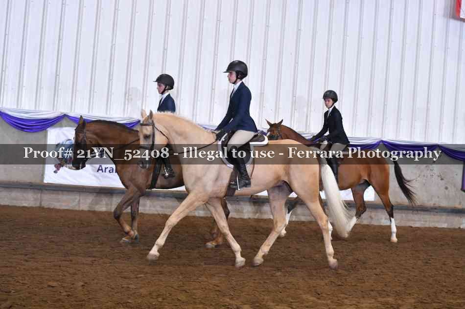 Proof Number 21YN_52408