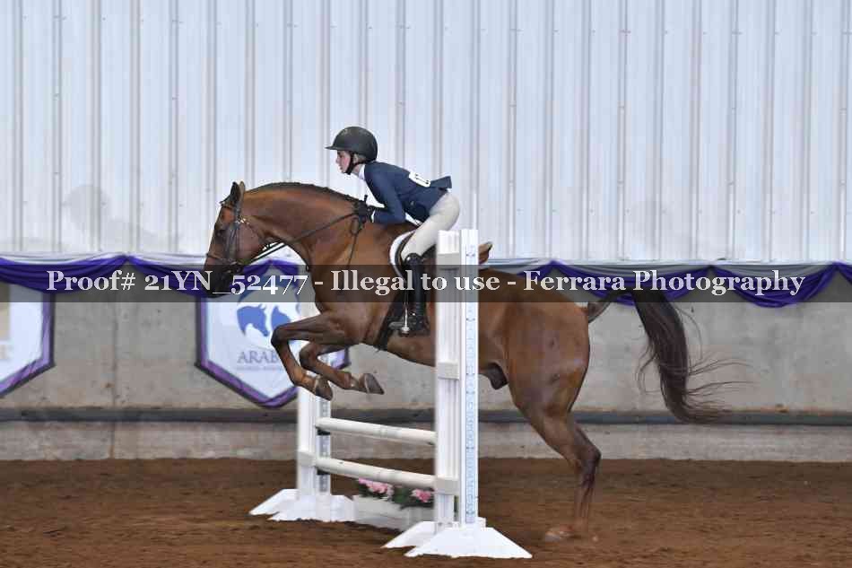 Proof Number 21YN_52477