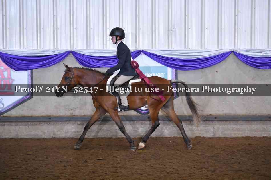 Proof Number 21YN_52547