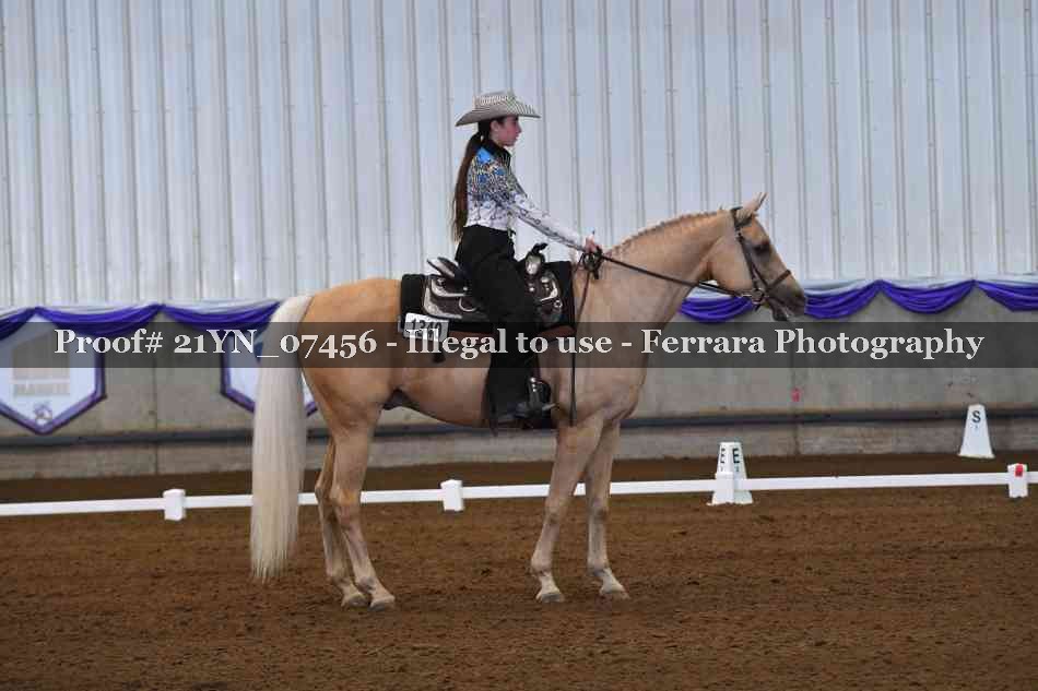 Proof Number 21YN_07456