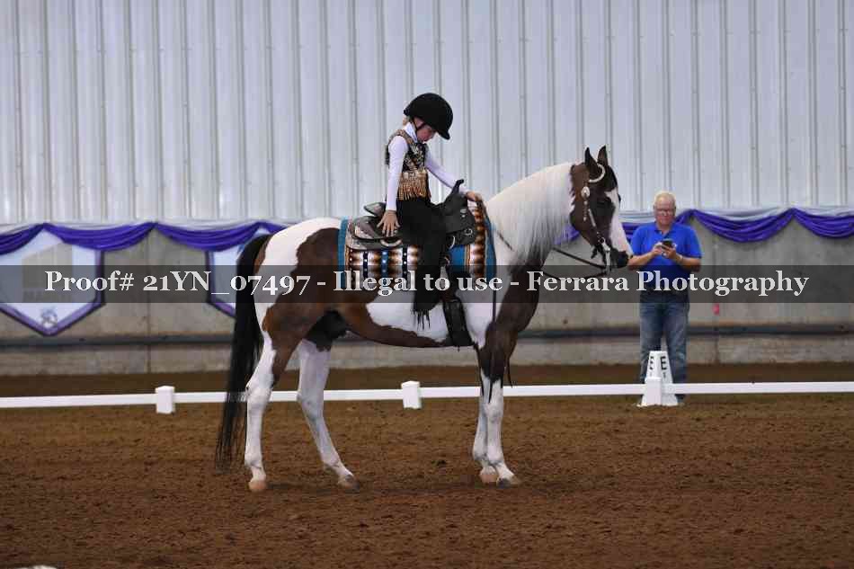 Proof Number 21YN_07497