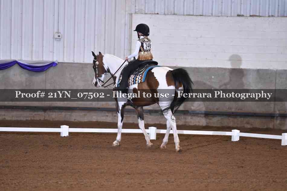 Proof Number 21YN_07502