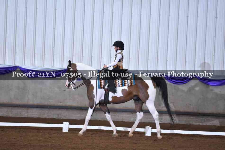 Proof Number 21YN_07505